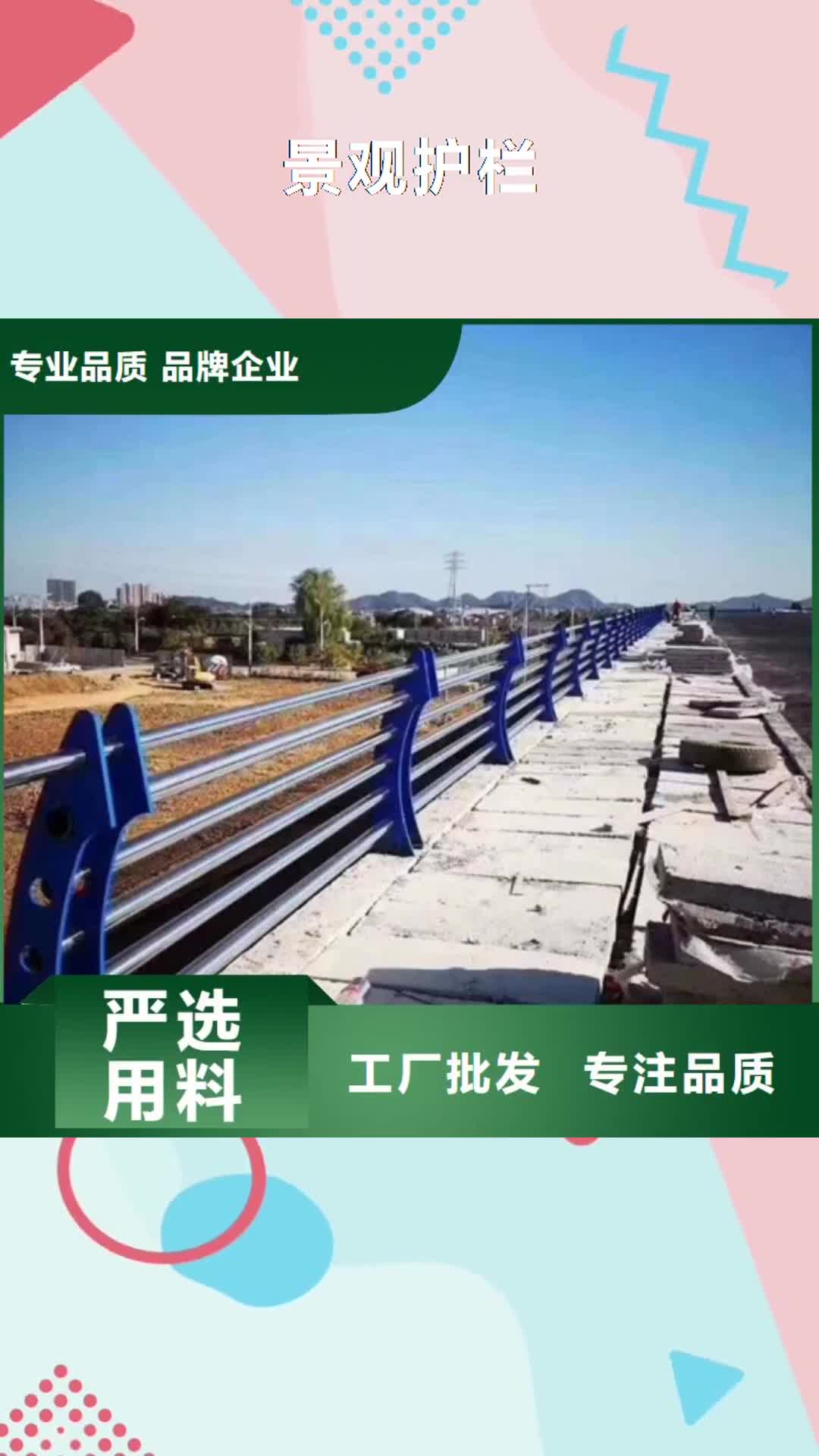【海南 景观护栏 桥梁护栏品质做服务】