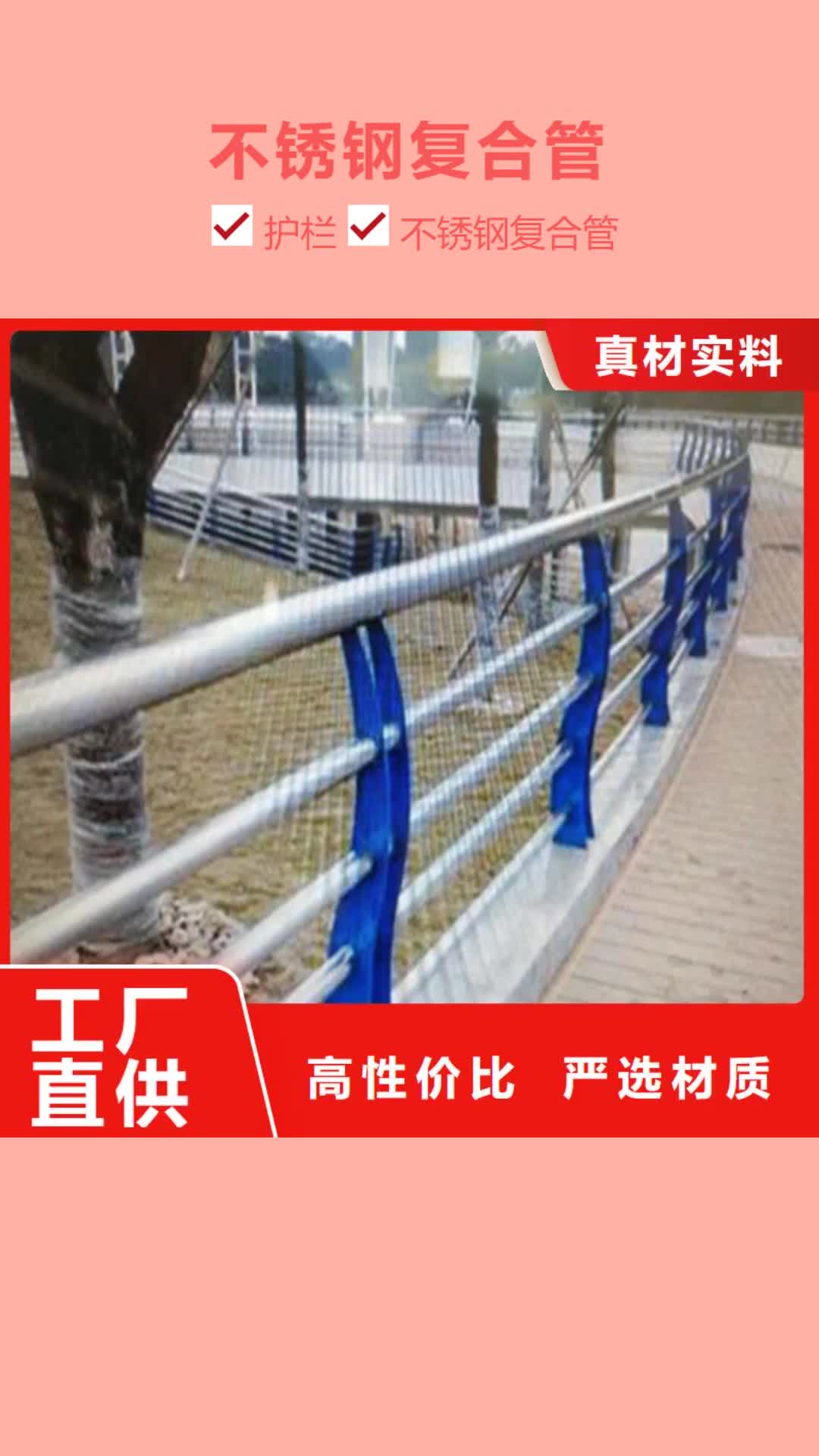 【上海 不锈钢复合管-人行道护栏 有实力有经验】