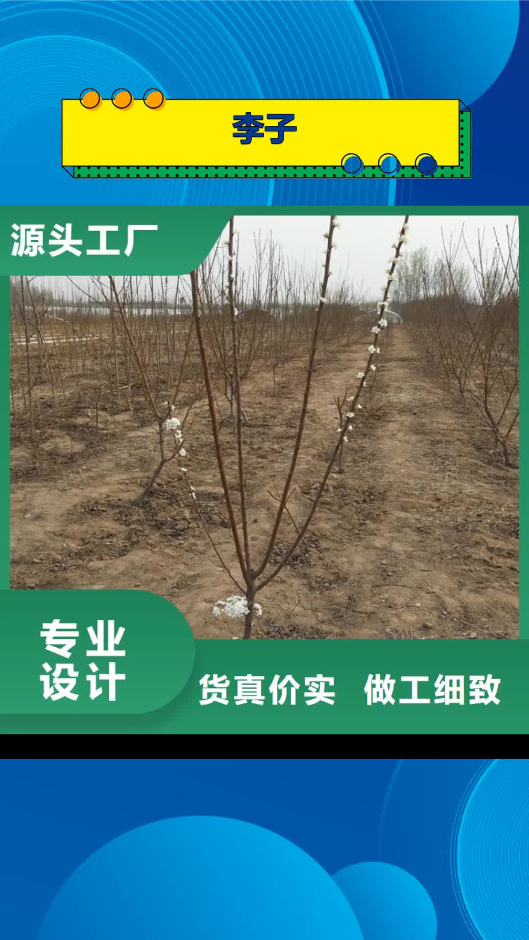 鹤岗【李子】-石榴树用品质说话