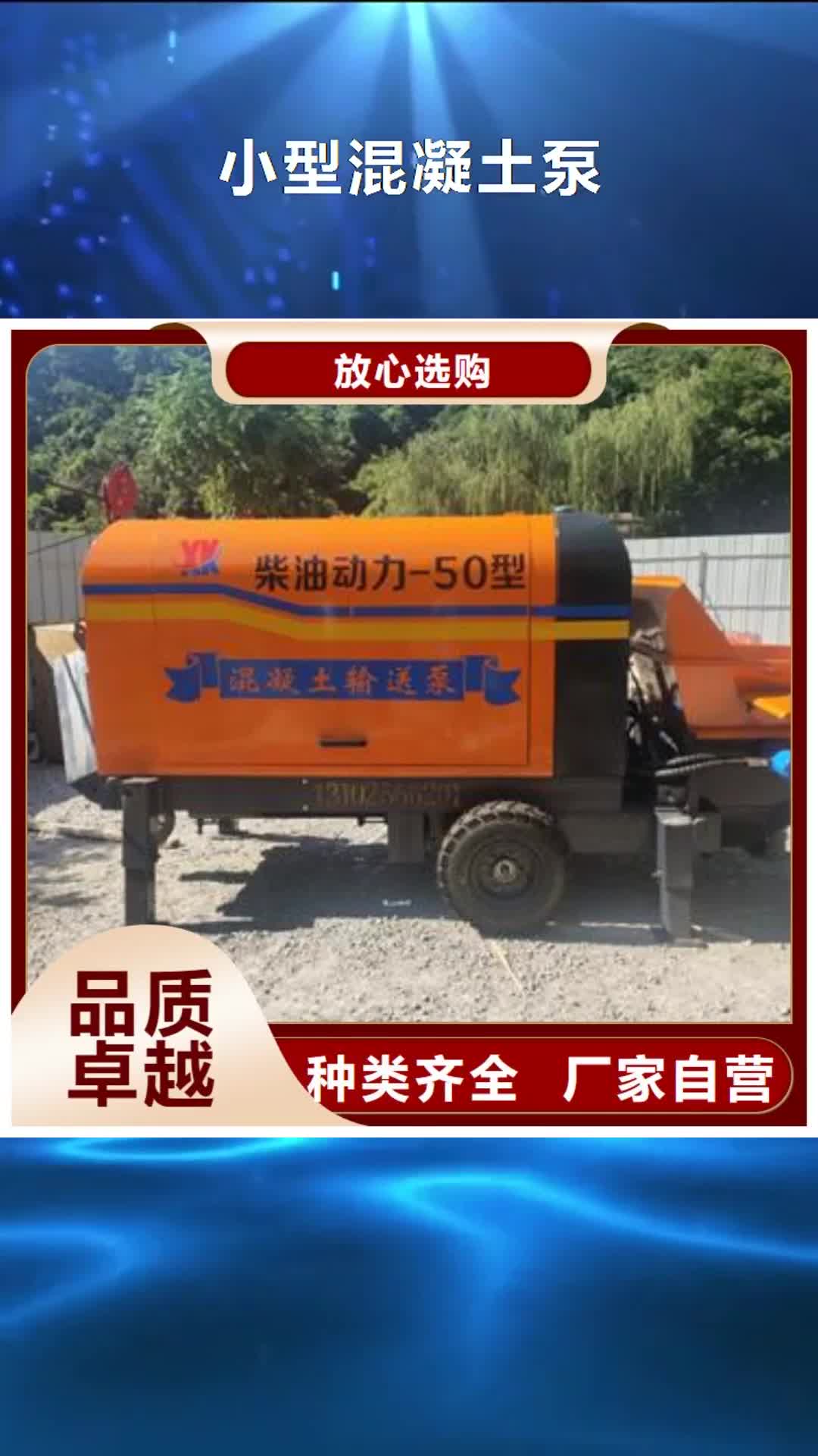 乐山 小型混凝土泵-【混凝土输送泵】源头厂家供应