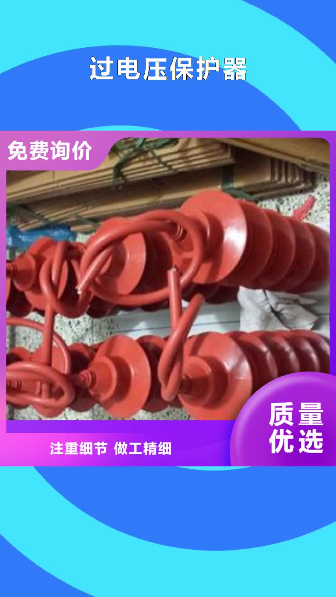 【绥化 过电压保护器,绝缘子用心做产品】